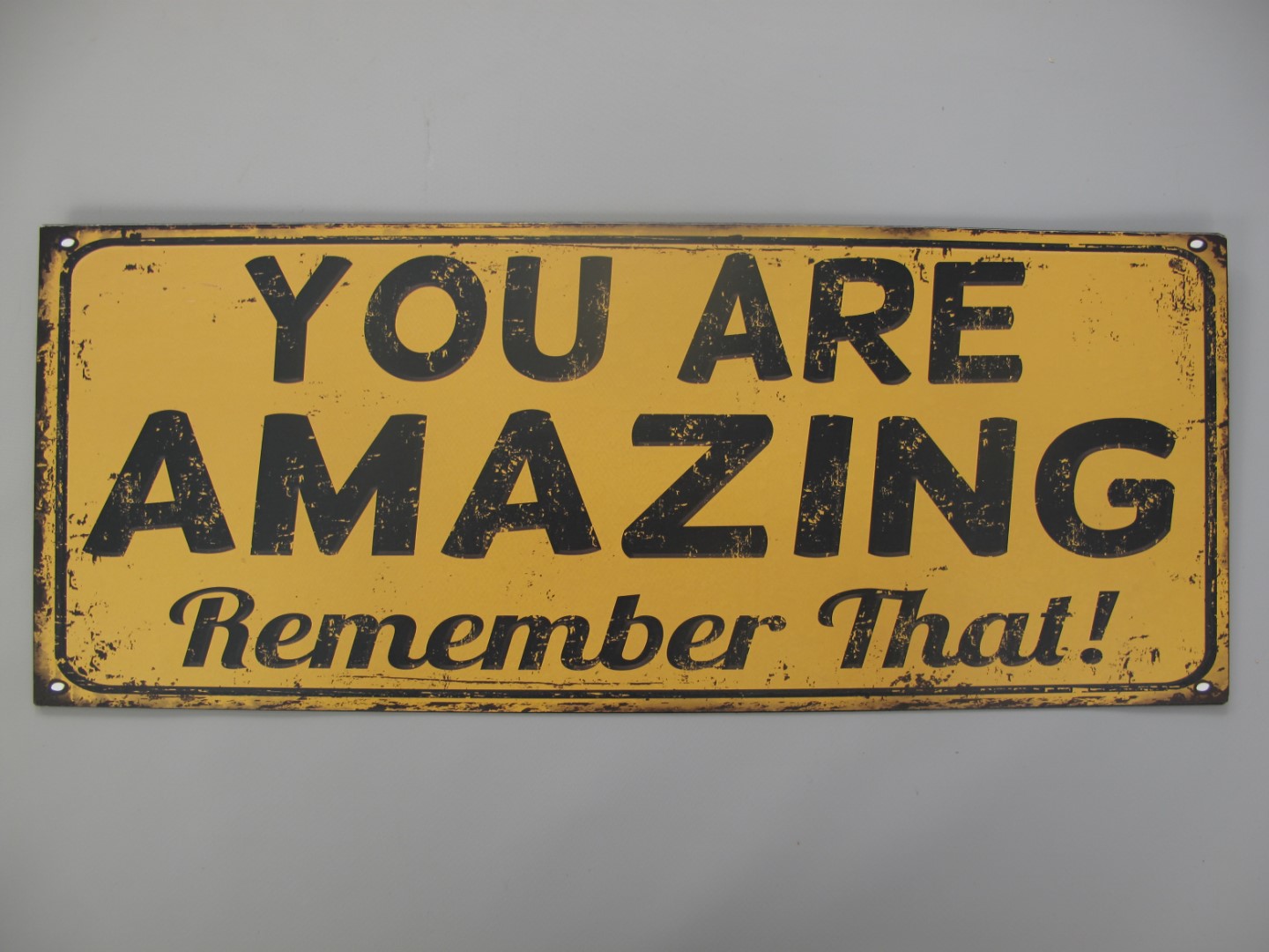 321B11a Wandschild Eisen You Are Amazing H.20x50cm