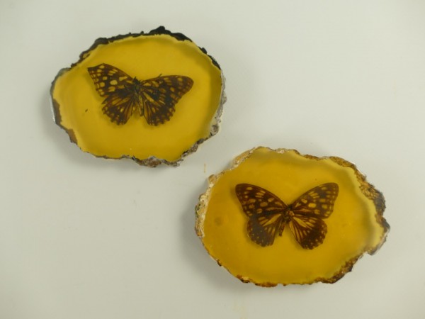 Papierb.(Schmetterling) 2st. Polystein H.8x10cm